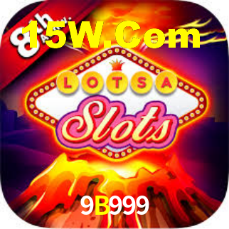 Premium Interface 9B999