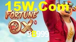 Premium Interface 9B999